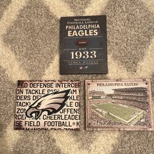 Philadelphia Eagles Artissimo Canvas (3)